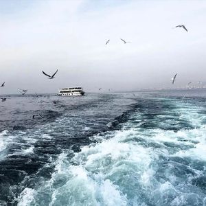 壮男农民工的大粗鳮1
